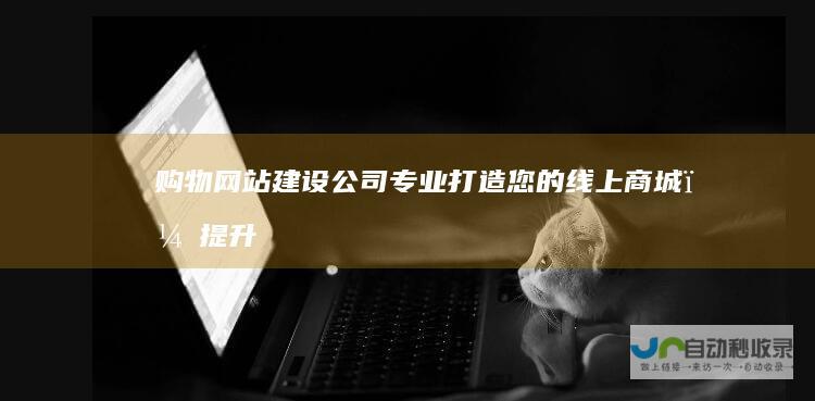 购物网站建设公司-专业打造您的线上商城，提升销售业绩
